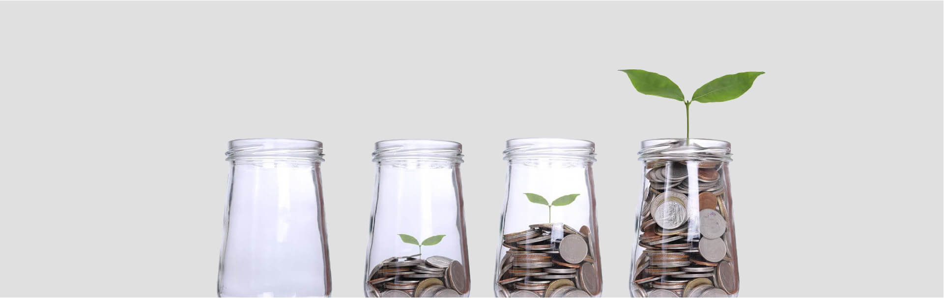 Coins in a small jar with a plant growing